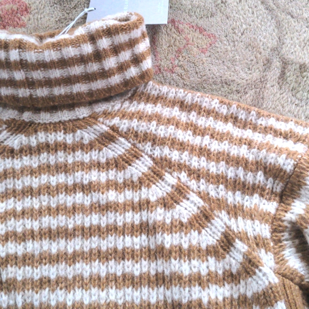 🆕 EVERLANE The Cloud Oversized Merino Wool/Alpaca Turtleneck - Picture 9 of 16